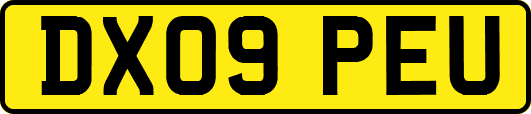 DX09PEU