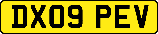 DX09PEV