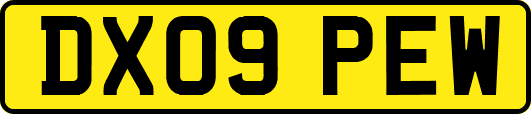 DX09PEW