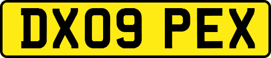 DX09PEX