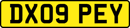 DX09PEY