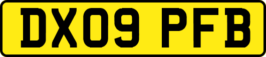DX09PFB