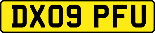 DX09PFU