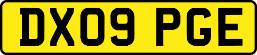 DX09PGE