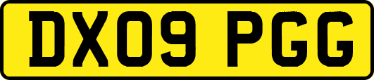 DX09PGG