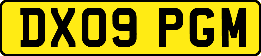 DX09PGM