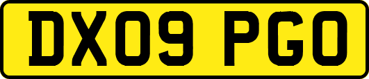 DX09PGO