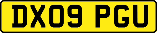 DX09PGU