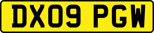 DX09PGW