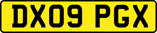 DX09PGX