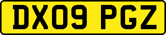 DX09PGZ