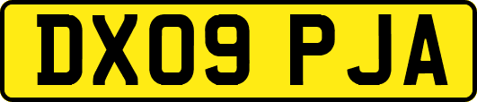 DX09PJA