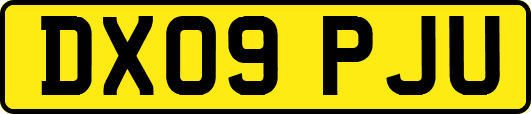DX09PJU