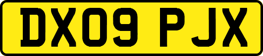 DX09PJX