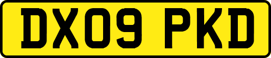 DX09PKD