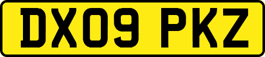 DX09PKZ