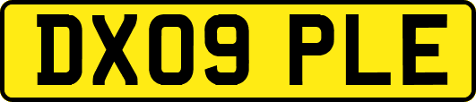 DX09PLE