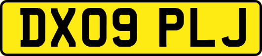 DX09PLJ