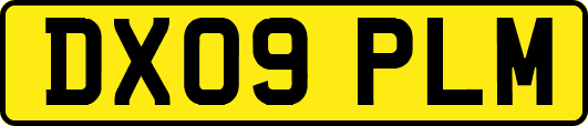 DX09PLM