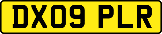 DX09PLR