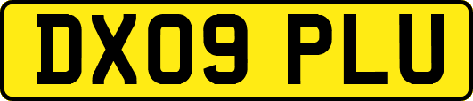 DX09PLU