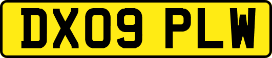 DX09PLW