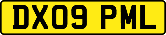 DX09PML