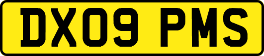 DX09PMS
