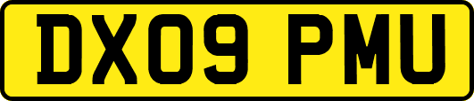 DX09PMU