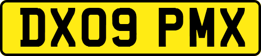 DX09PMX