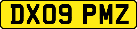 DX09PMZ