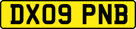 DX09PNB
