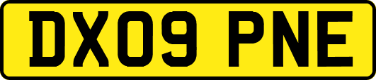 DX09PNE