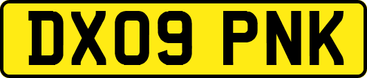 DX09PNK