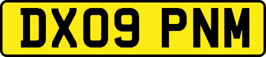 DX09PNM