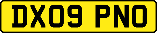 DX09PNO