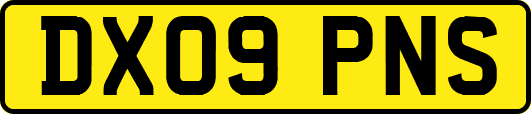 DX09PNS