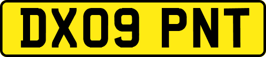 DX09PNT