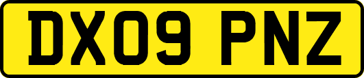 DX09PNZ