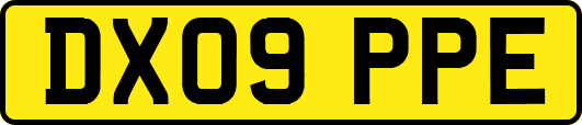 DX09PPE