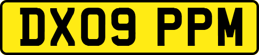 DX09PPM