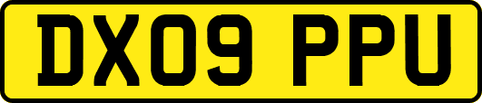 DX09PPU