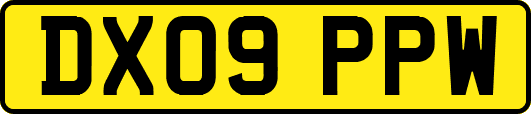 DX09PPW