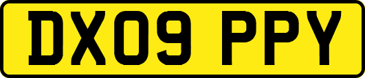 DX09PPY