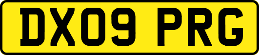 DX09PRG