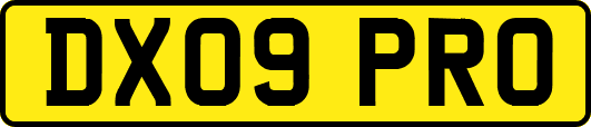 DX09PRO