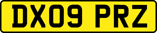 DX09PRZ
