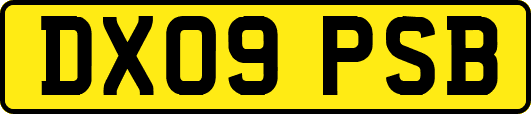 DX09PSB