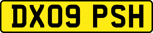 DX09PSH