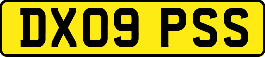 DX09PSS